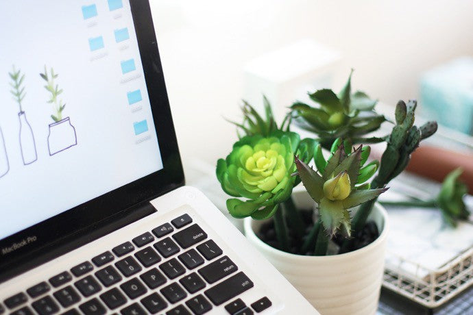 DIY Succulent Pen Planter