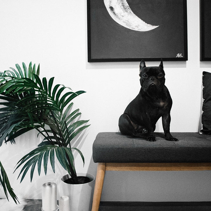 The Hygge Home | 10 Danish Decor Finds… on Amazon!