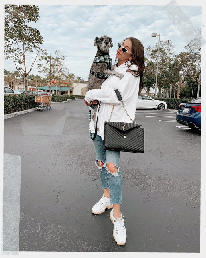 Howard’s Story + The 7 Things I Wish I Knew Before Adopting a Dog