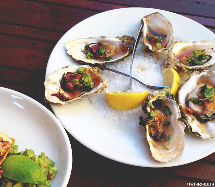 fashionlush, oysters, where to eat san diego