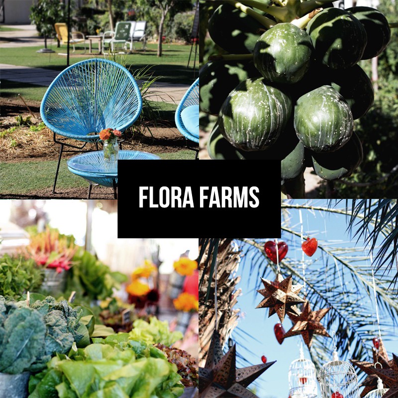 fashionlush, guide to los cabos, flora farms