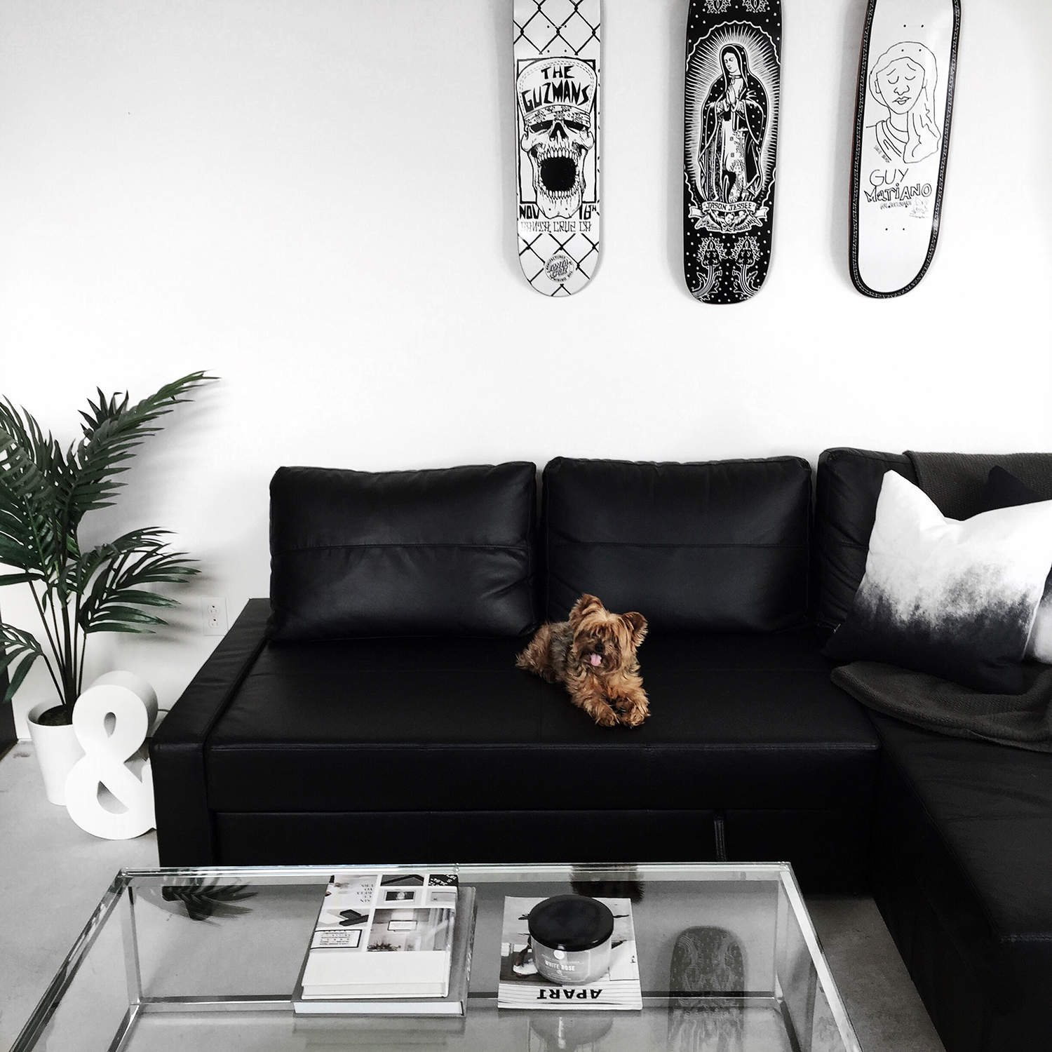 fashionlush, black & white, home decor