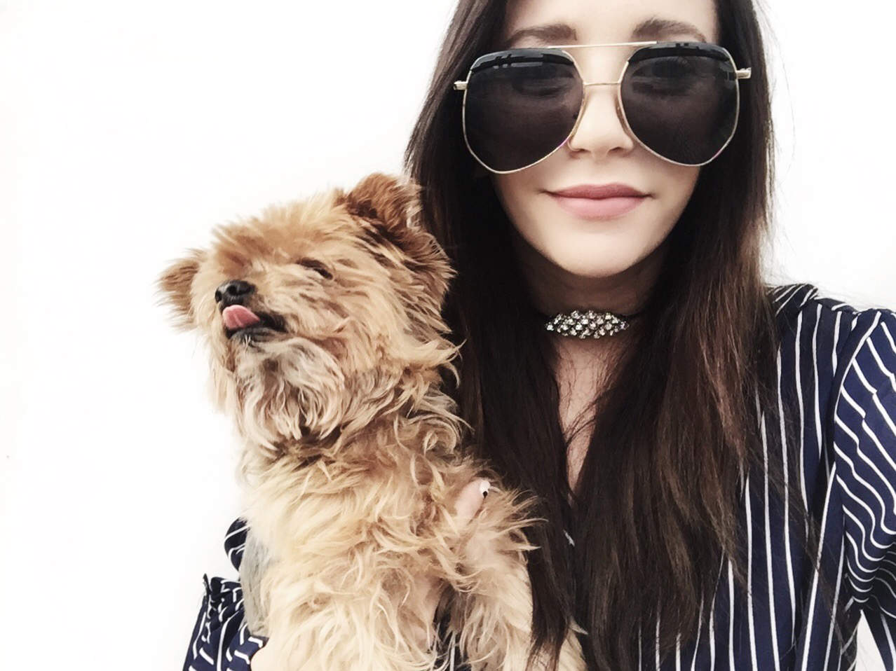 fashionlush, selfie, yorkshire terrier