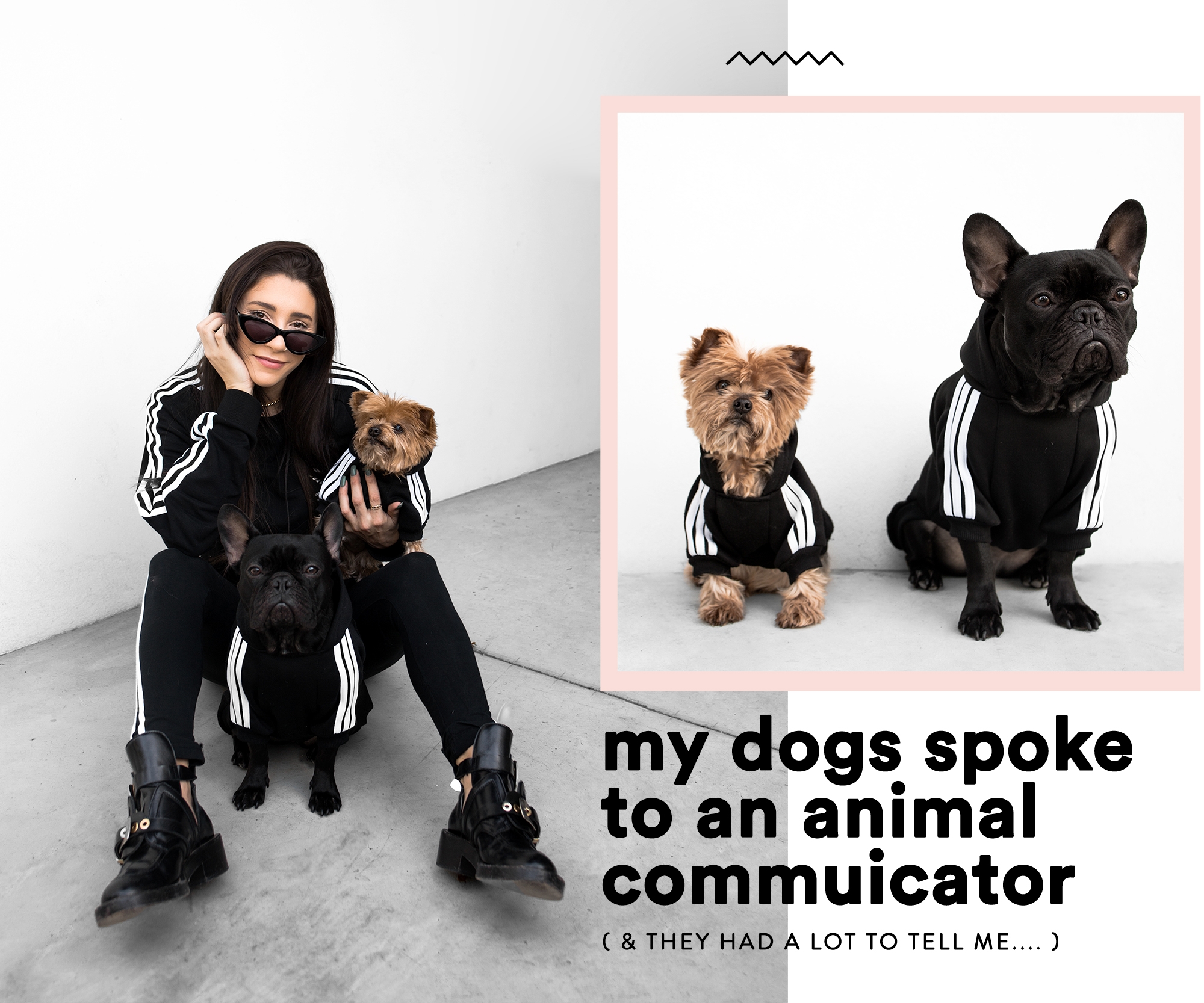fashionlush, animal communicator miranda alcott
